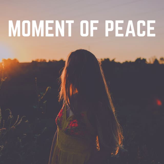 Moment of Peace - White Noise Sound Garden