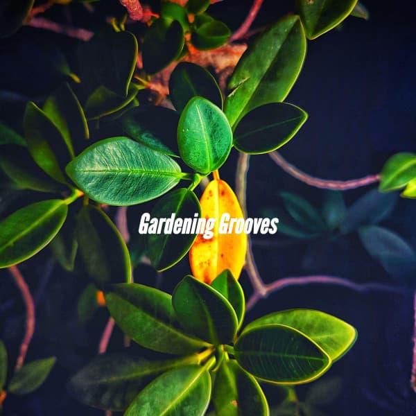 Gardening Grooves - Light Dinner Music