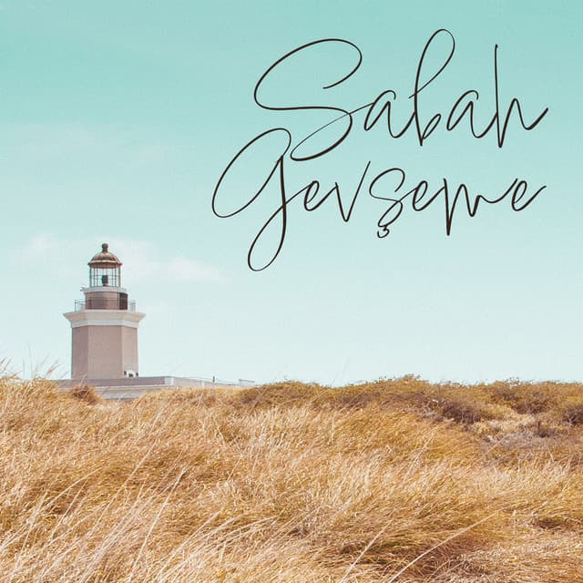 Sabah Gevşeme: Olumlu Duygular ve Enerji, Bir Güne Huzurlu Bir Başlangıç, Sabah Yogası - Rahatla Zamanı Vaha