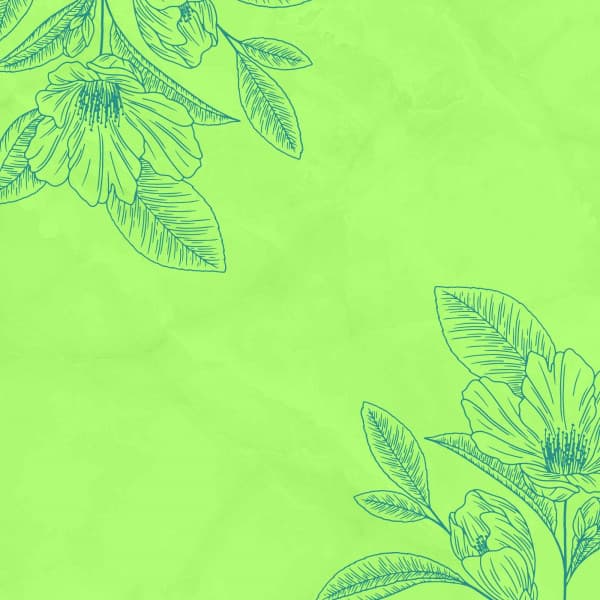 Jazz Piano Duo - Ambiance for Lightening Up Atmosphere - Chill Vibes