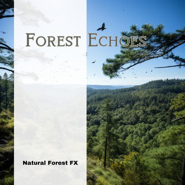 Forest Echoes - Natural Forest FX
