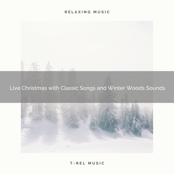 Live Christmas with Classic Songs and Winter Woods Sounds - The Outdoor Library