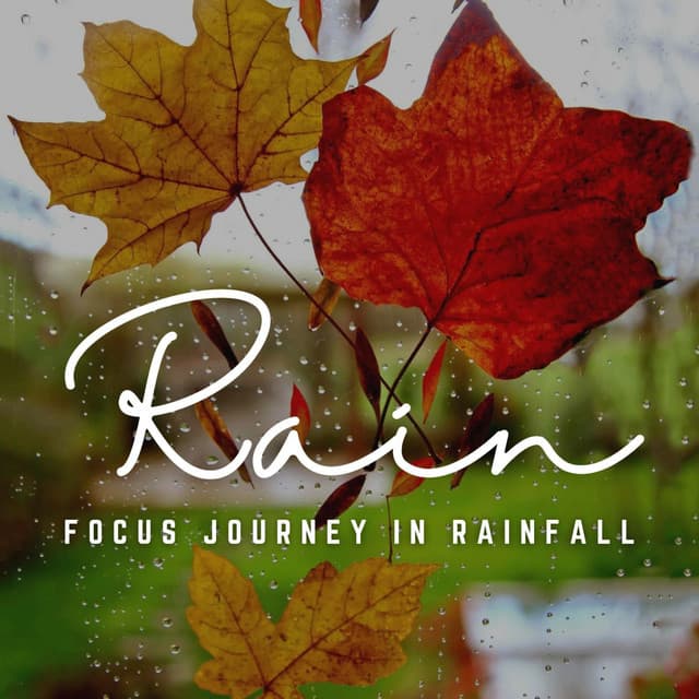Concentration Rainfall: A Journey to Deep Focus - Rain & Thunder