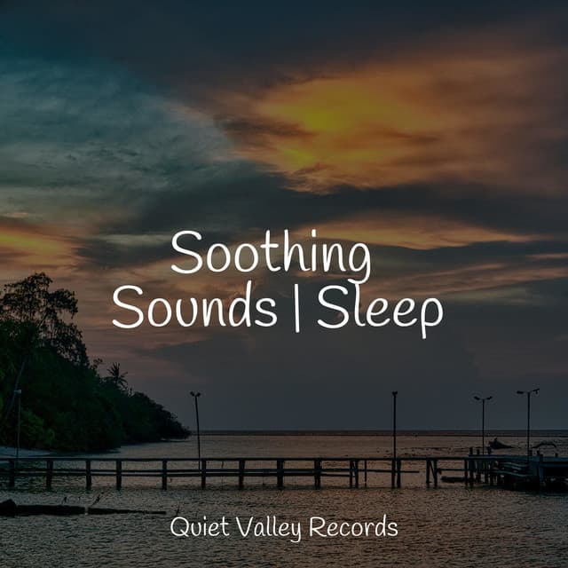 Soothing Sounds | Sleep - Música relaxante