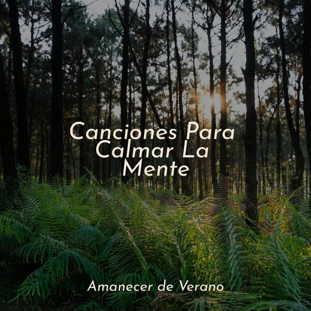 Canciones Para Calmar La Mente - Sonido de lluvia