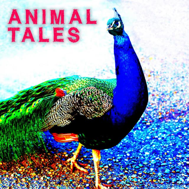 Animal Tales - Anselm Kreuzer