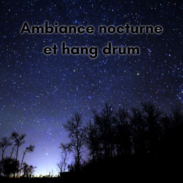 Ambiance nocturne et hang drum - New Age Musique Zen