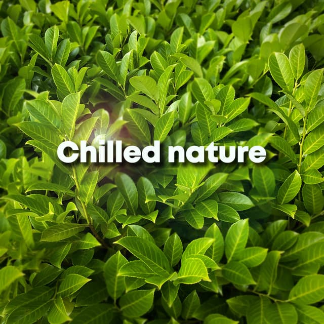 Chilled Nature - Deep Sleep