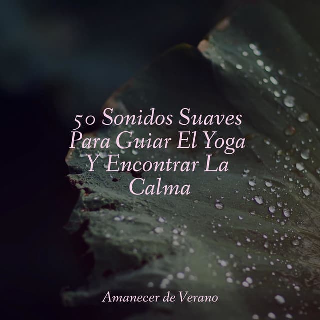 50 Sonidos Suaves Para Guiar El Yoga Y Encontrar La Calma - Musica Romantica Ensemble