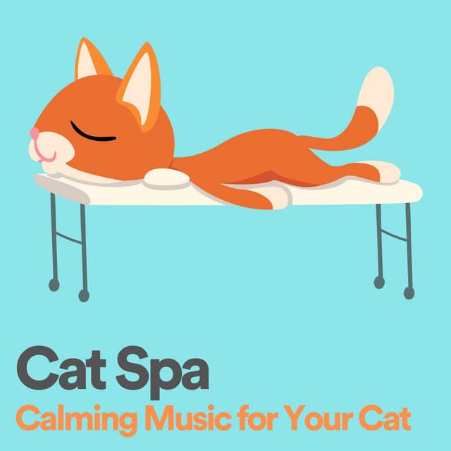 Cat Spa Calming Music for Your Cat - Cat Music Therapy