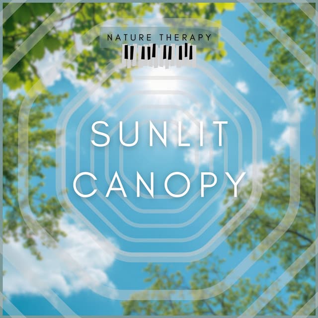 Sunlit Canopy - Nature Therapy