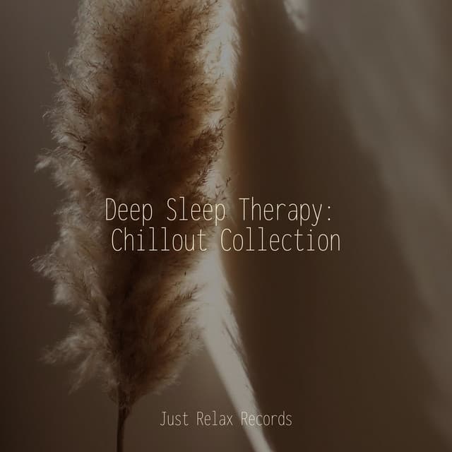 Deep Sleep Therapy: Chillout Collection - Musica para Meditar