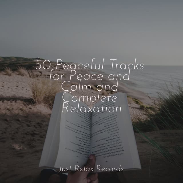 50 Peaceful Tracks for Peace and Calm and Complete Relaxation - Massage Therapy Music