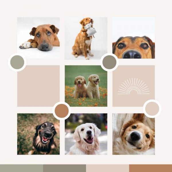 Tasteful Ambiance for Energetic Puppy - Dog Sleep Dreams