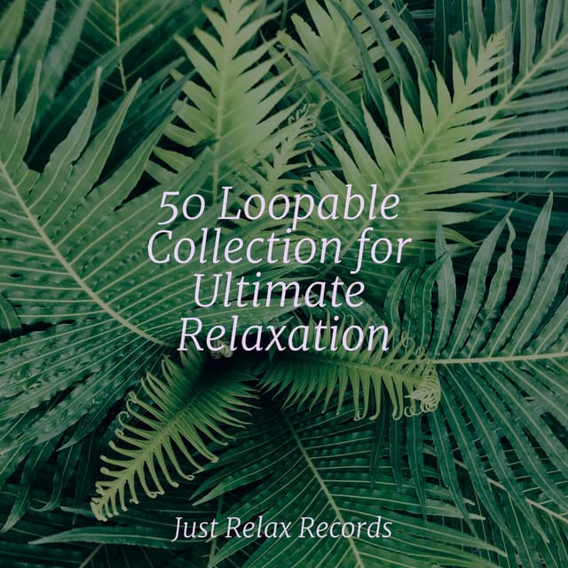 50 Loopable Collection for Ultimate Relaxation - ASMR HD