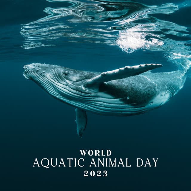 World Aquatic Animal Day 2023: Underwater Sounds with Instrumental Melodies - Animal Melody Wizard