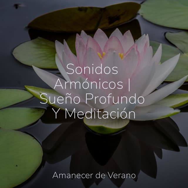 Sonidos Armónicos | Sueño Profundo Y Meditación - New Age