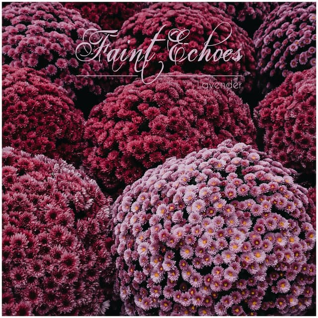 faint echoes