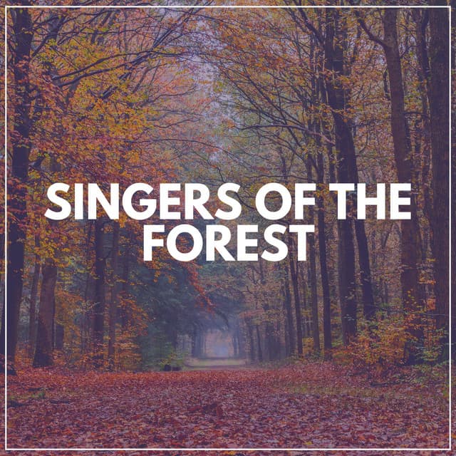 Singers of the Forest - Rivers and Streams