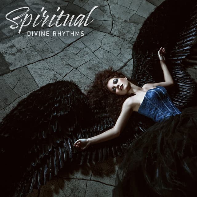Spiritual Divine Rhythms - Native Shamanic Zone