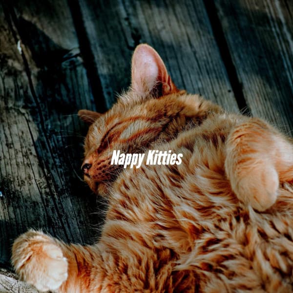 Nappy Kitties - Coffee House Smooth Jazz Playlist