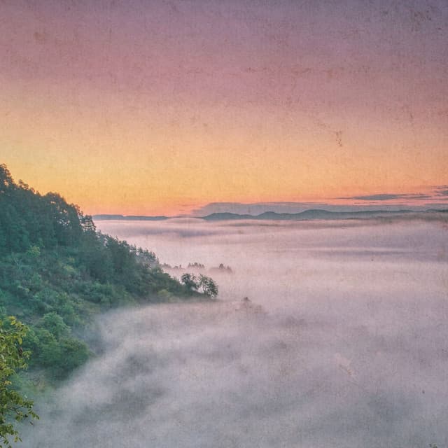 Classical Reflections - Johann Sebastian Bach