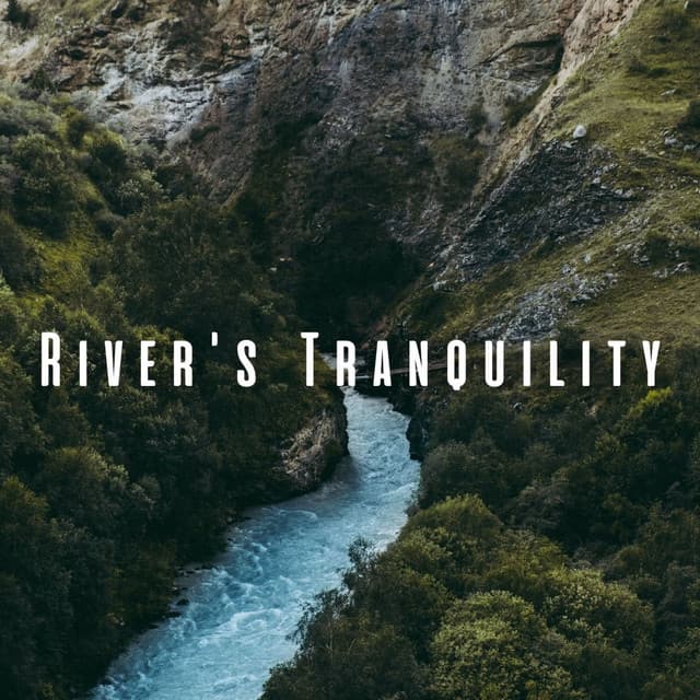 River's Tranquility: Chill Music for Relaxing Dogs - Water Science