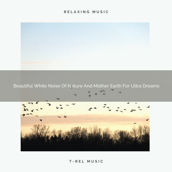 Beautiful White Noise Of Nature And Mother Earth For Ultra Dreams - The Noise Project