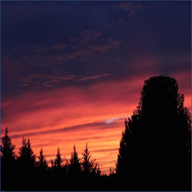 Wind Chimes - Saludo al Sol Sonido Relajante