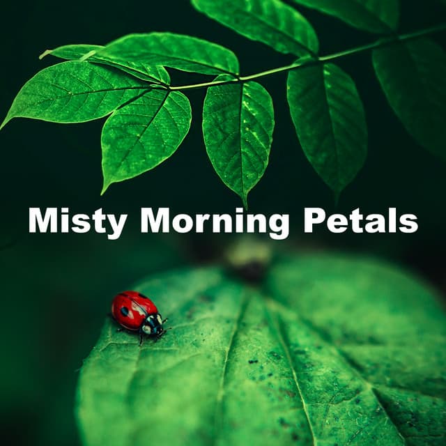 Misty Morning Petals - Sleeping Nature Sound