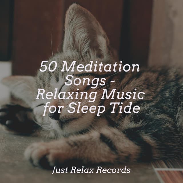 50 Meditation Songs - Relaxing Music for Sleep Tide - Nursery Rhymes Club