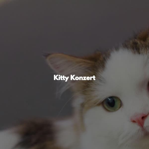 Kitty Konzert - Easy Relaxing Acoustics