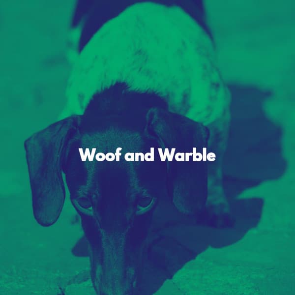 Woof and Warble - Smooth Dinner Music