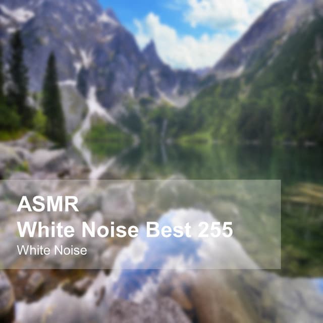 White Noise ASMR Best 255 - White Noise