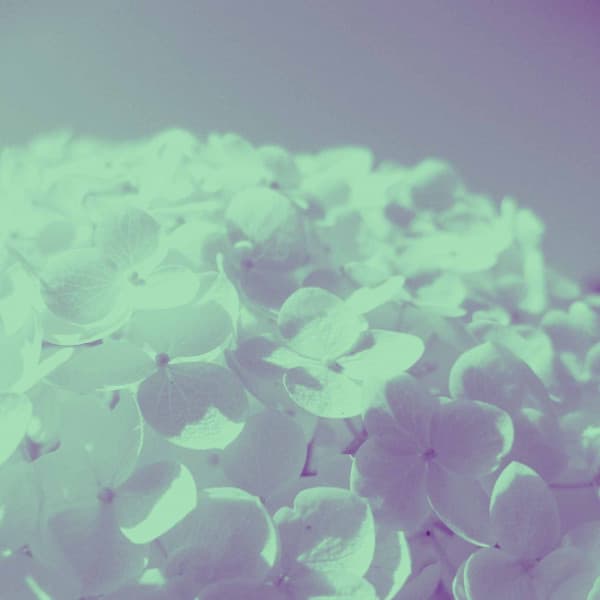 Piano Bossanova Duo - Cafe Chillout Jazz