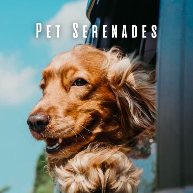 Pet Serenades: Coffee Shop Tunes with Jazz Lounge Music - Deluxe Cafe Music