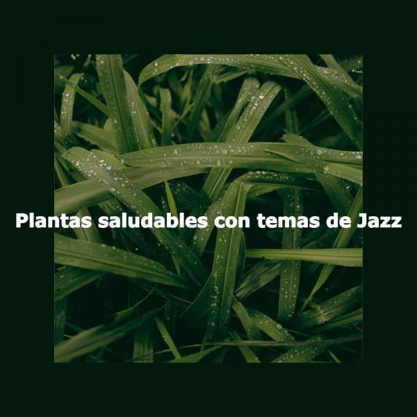 Plantas saludables con temas de Jazz - Chill Out Jazz Dream