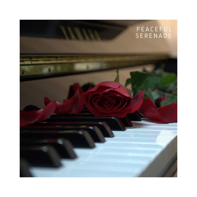 Peaceful Serenade: Calm Piano Instrumentals - Piano Music Masters