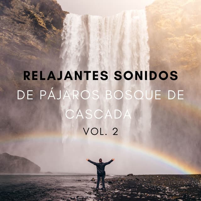 Relajantes Sonidos De Pájaros Bosque De Cascada Vol. 2 - Dao Naturaleza