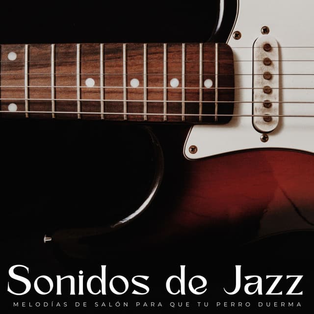 Sonidos De Jazz: Melodías De Salón Para Que Tu Perro Duerma - Jazz Radio
