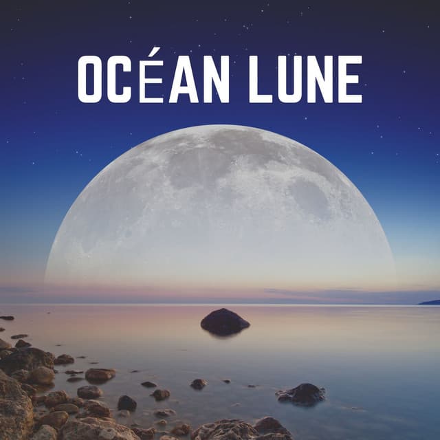 Océan Lune - Vagues Dans La Mer