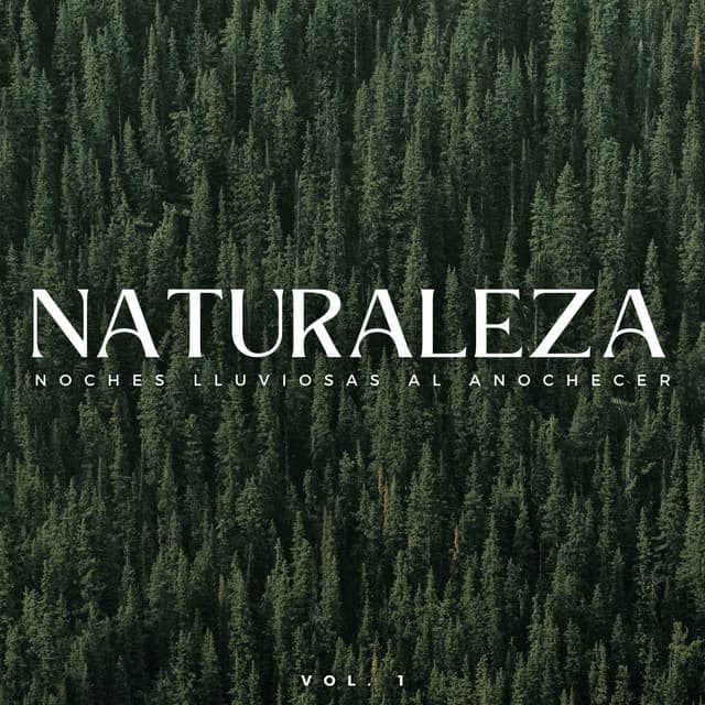 Naturaleza: Noches Lluviosas Al Anochecer Vol. 1 - Sonidos de lluvia y sonidos de la naturaleza