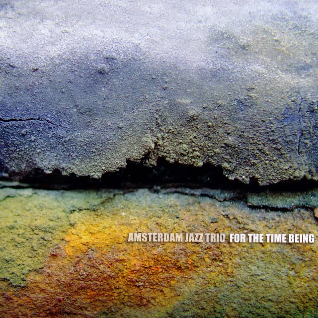 For The Time Being - Angelo Verploegen