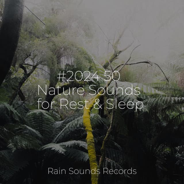 #2024 50 Nature Sounds for Rest & Sleep - PowerThoughts Meditation Club