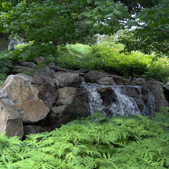 Background Sounds, Vol 15 - Meditaciones