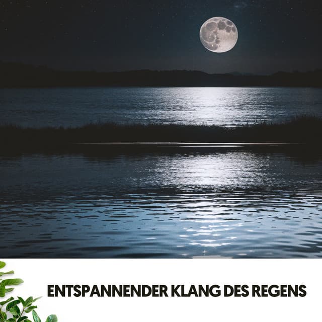 Entspannender Klang des Regens: Melodien aus den Regentropfen - Dog Relaxation