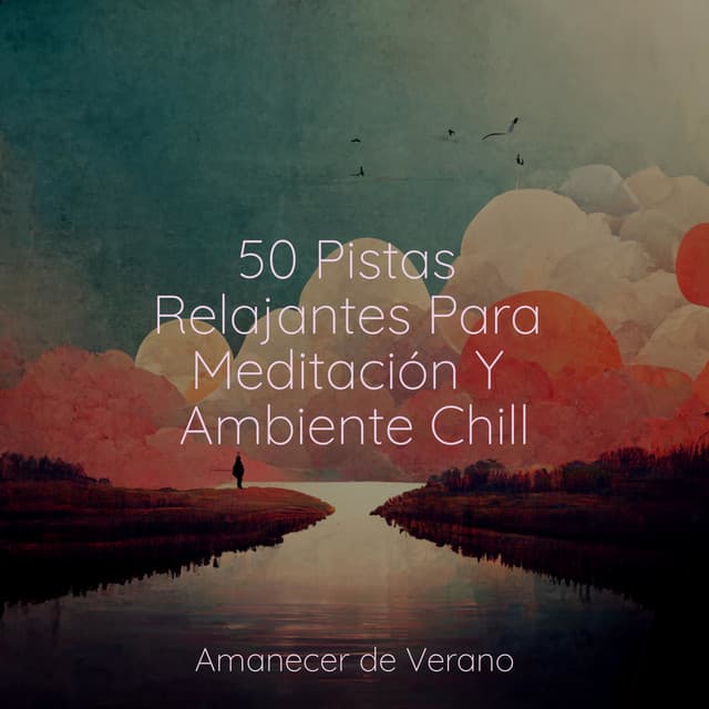 50 Pistas Relajantes Para Meditación Y Ambiente Chill - Instrumental