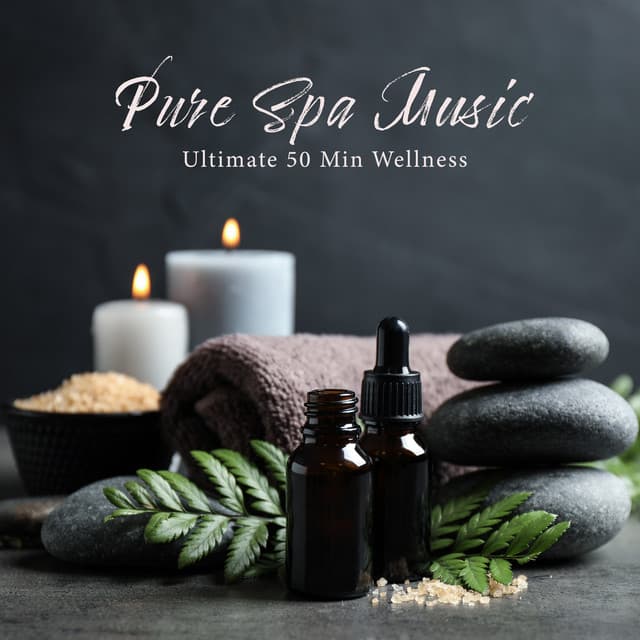 Pure Spa Music - Ultimate 50 Min Wellness Center Songs, Relaxation, Meditation, Massage and Sleep Therapy - Natural Sounds Music Academy