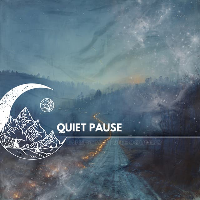 Quiet Pause - Night Nature Sounds