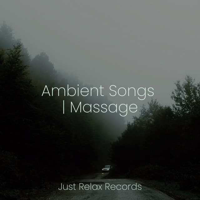Ambient Songs | Massage - Meditación Guiada